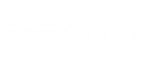 SCS Delta