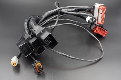 SCS Delta Renault Twingo RS Kit - PnP Kit